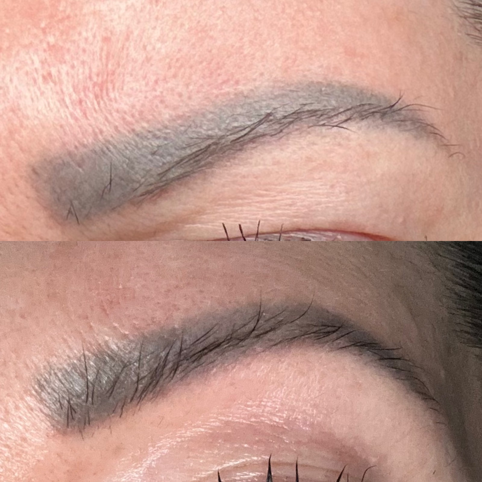 Sourcils de Stéphanie Langlois, traitement ExoBrows en cours